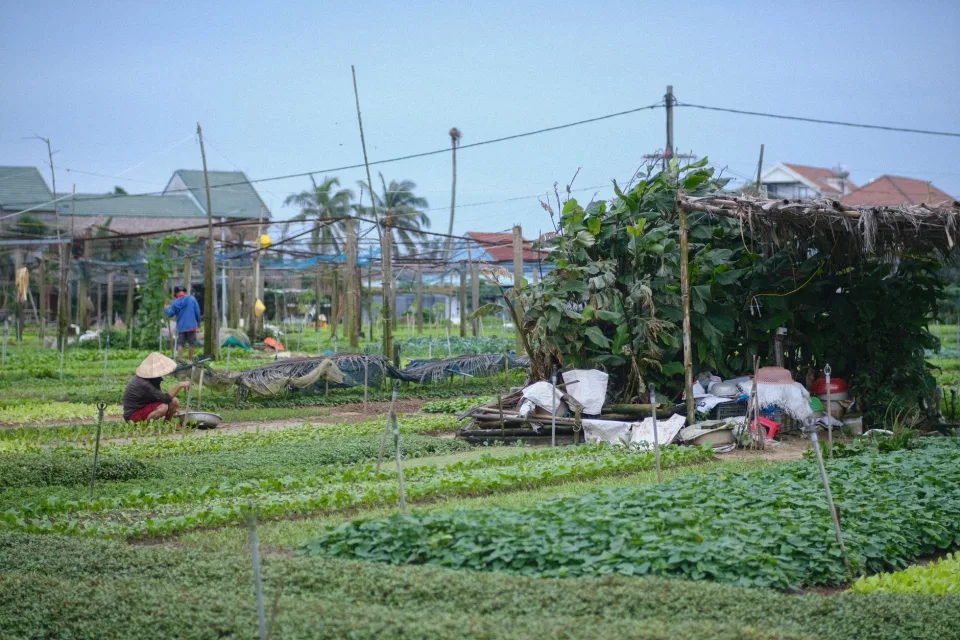 Kho giống thoáng, khô ráo