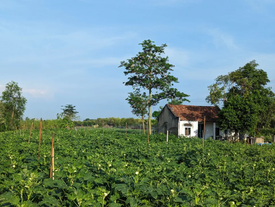 Bà con xem hàng tại cửa hàng