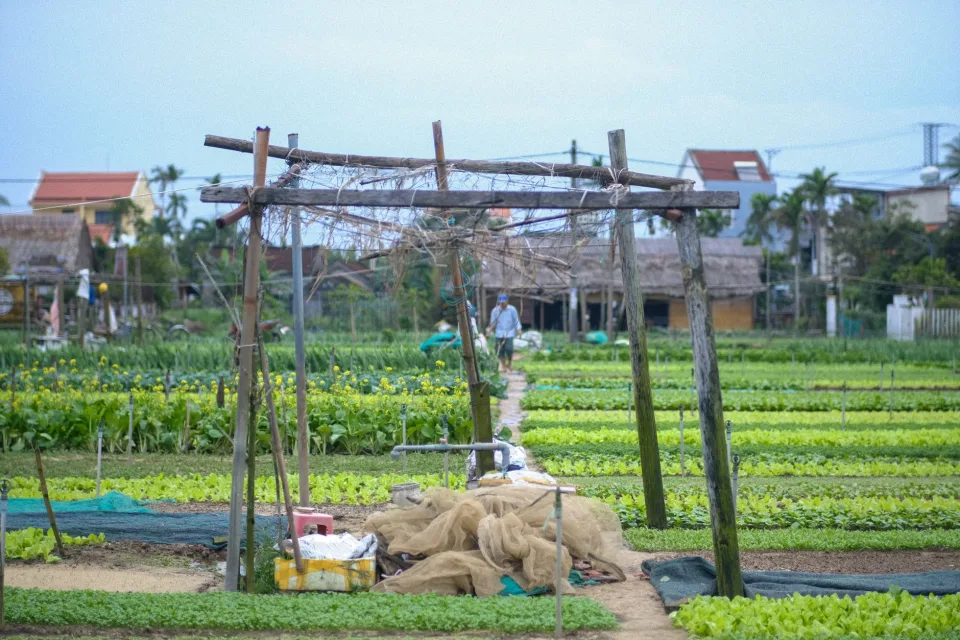 Góc tư vấn kỹ thuật